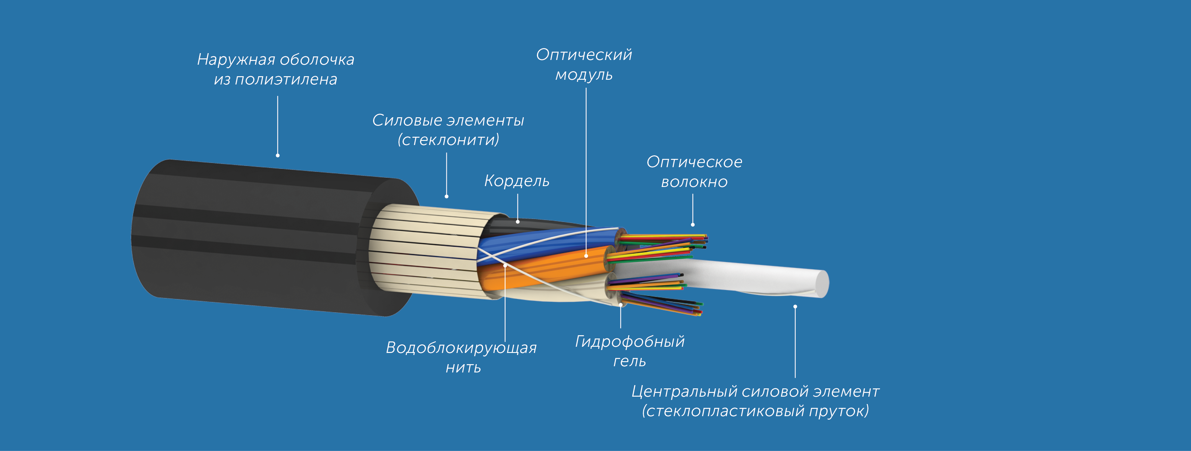 b0a565bed2e311e980bd000c29d70fd6_c50203a93c1311ec80dd000c29d70fd6