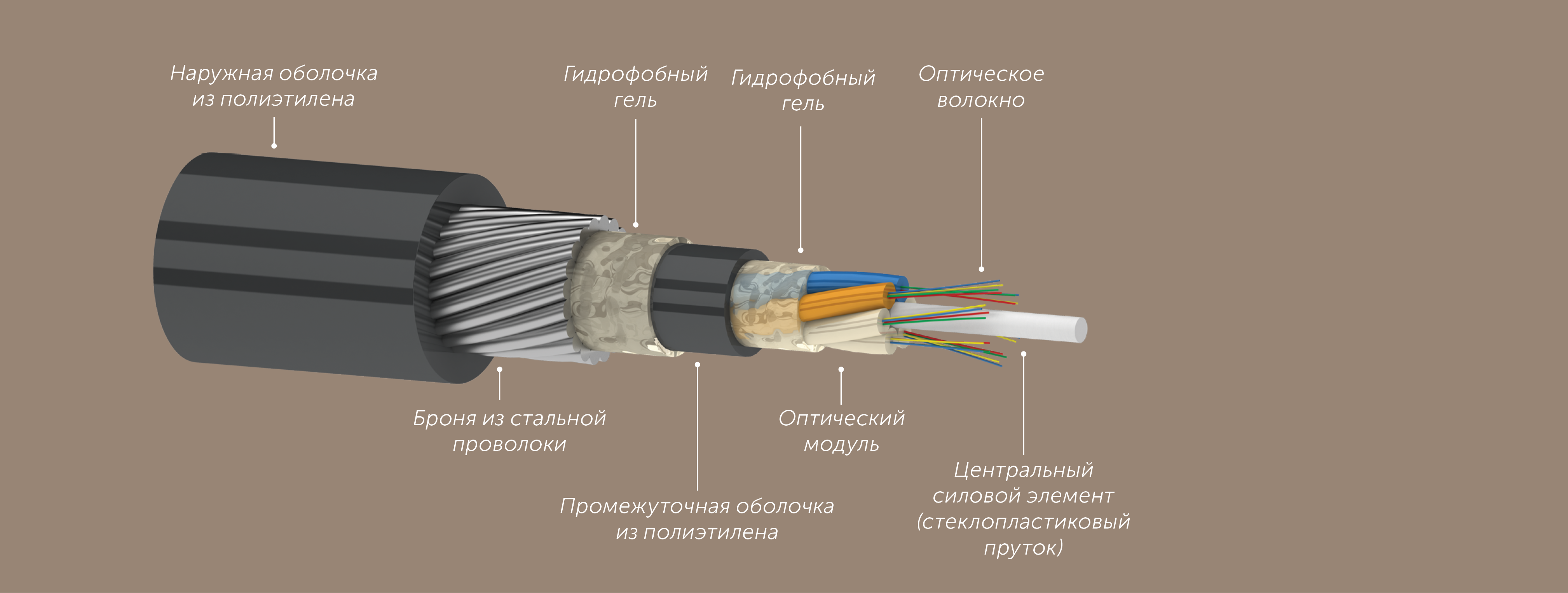 0b4844e9cfc611e980bb000c29d70fd6_cb0af8ca3c1311ec80dd000c29d70fd6